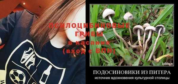прущие крисы Абдулино
