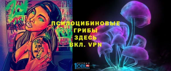 прущие грибы Алексин