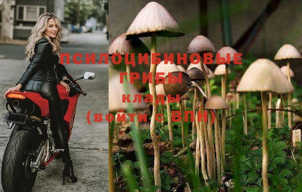 apvp Абаза