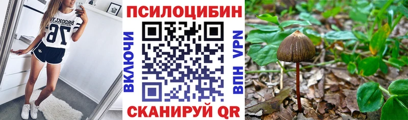 OMG вход  Домодедово  Псилоцибиновые грибы прущие грибы 