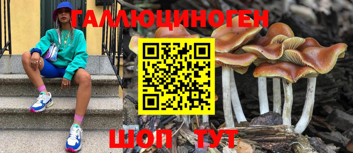 Псилоцибиновые грибы GOLDEN TEACHER  Вход с VPN  Галлюциногенные грибы прущие грибы  Домодедово 