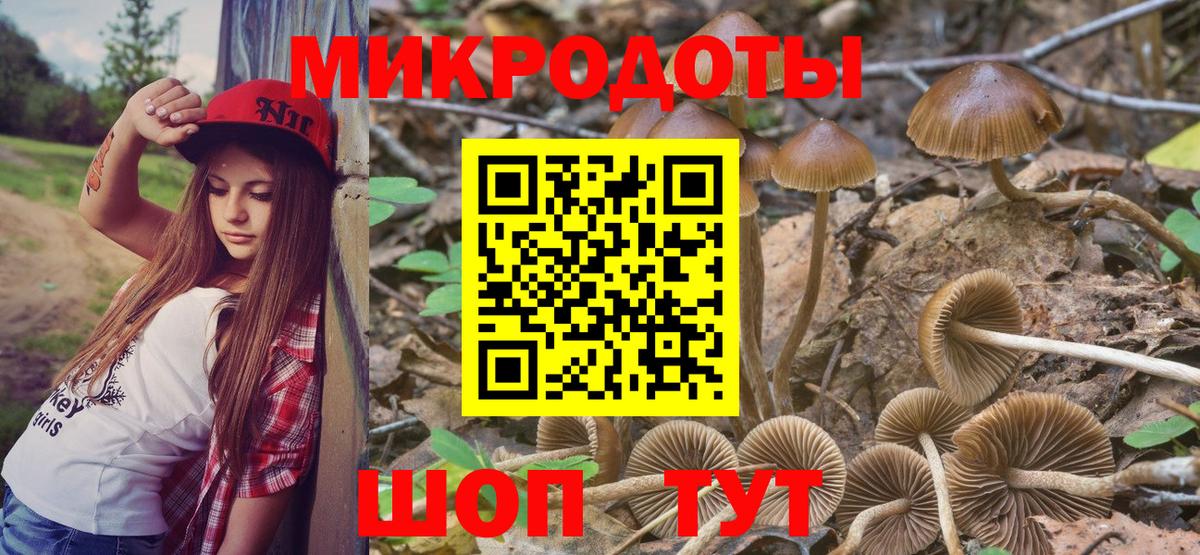 Псилоцибиновые грибы мухоморы Домодедово